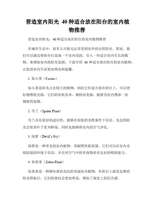  营造室内阳光  40种适合放在阳台的室内植物推荐