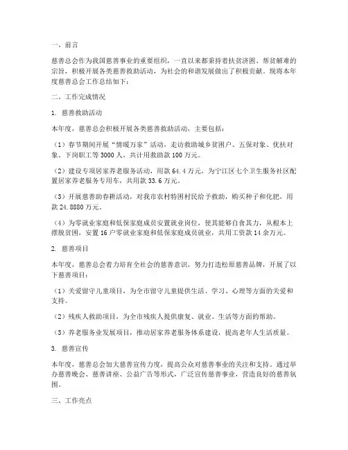 慈善总会工作总结报告