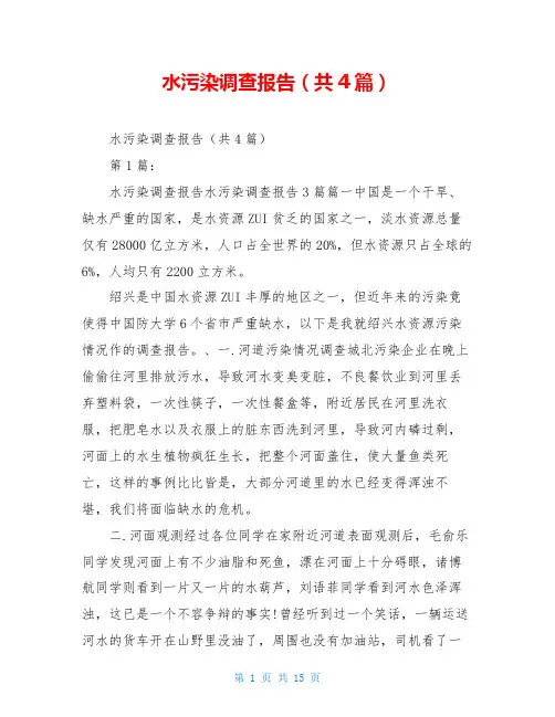 水污染调查报告(共4篇)