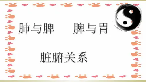 肺与脾 脾与胃脏腑关系PPT课件