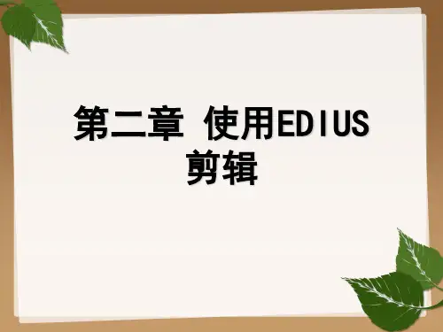EDIUS编辑基础