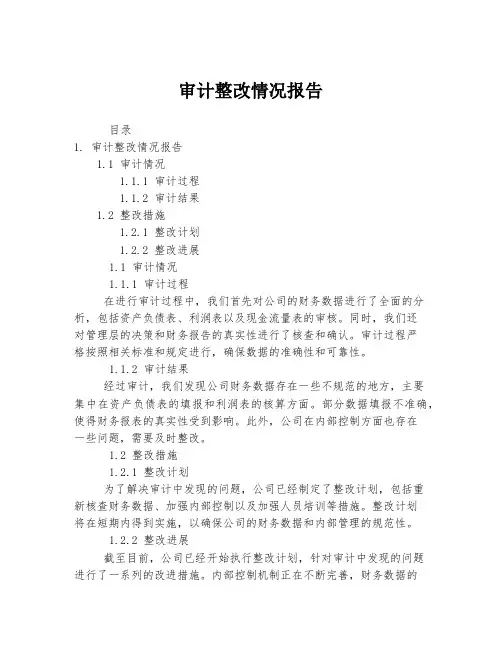 审计整改情况报告