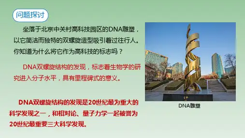 【公开课课件】DNA的结构课件2022-2023学年高一下学期生物人教版必修2