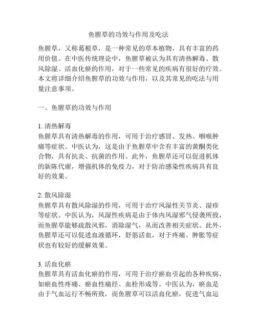 鱼腥草的功效与作用及吃法