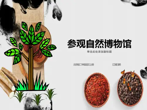 《参观自然博物馆》课件(北京版二年级语文上册课件)