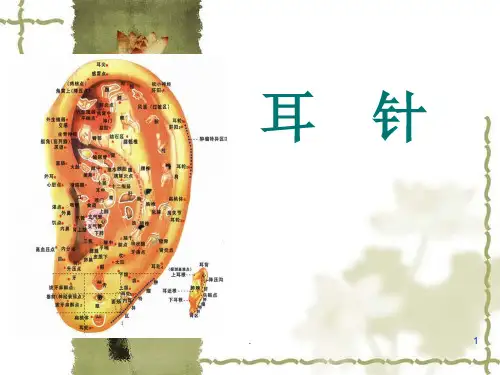 耳针PPT幻灯片