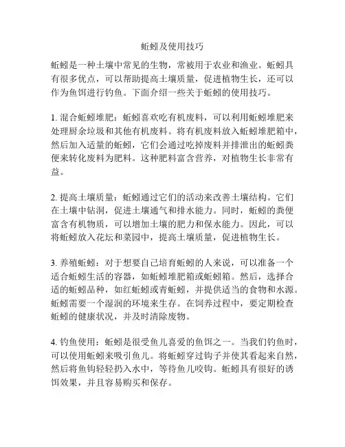 蚯蚓及使用技巧