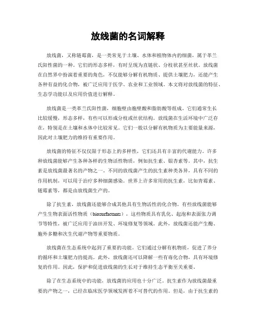 放线菌的名词解释