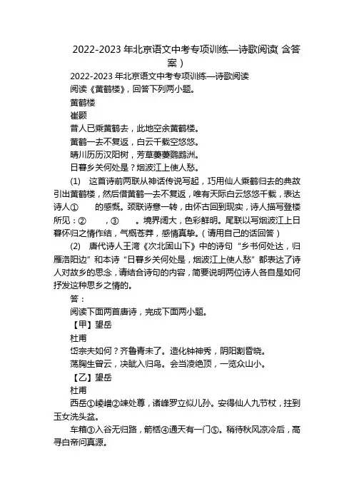 2022-2023年北京语文中考专项训练—诗歌阅读(含答案)