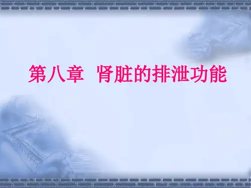 第八章肾脏的排泄功能