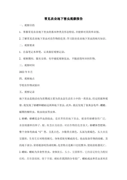 常见农业地下害虫观察报告纸