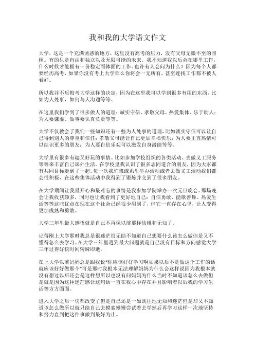 我和我的大学语文作文