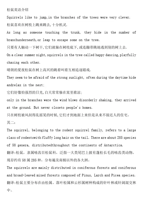 松鼠英语介绍