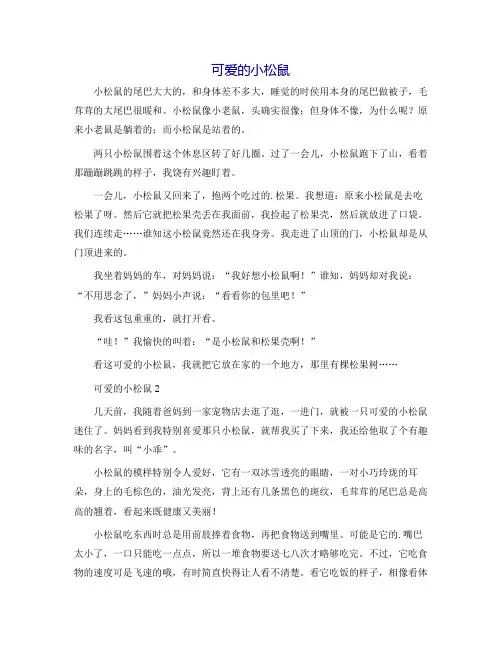 可爱的小松鼠