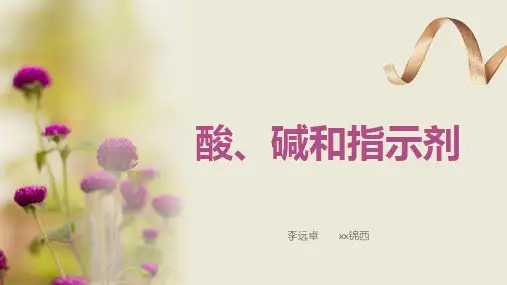 九年级化学酸碱指示剂优秀课件