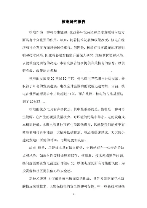 核电研究报告
