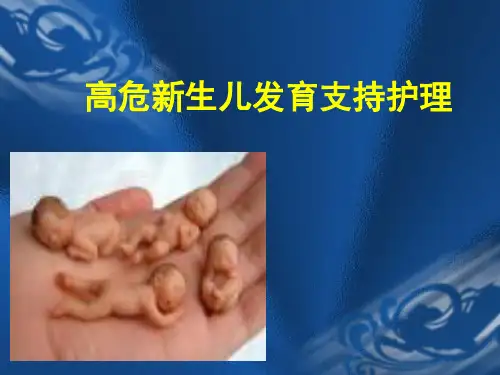 高危新生儿发育支持护理