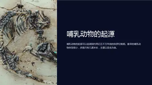 哺乳动物的起源进化