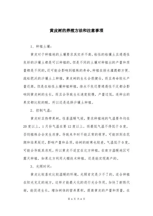 黄皮树的养殖方法和注意事项