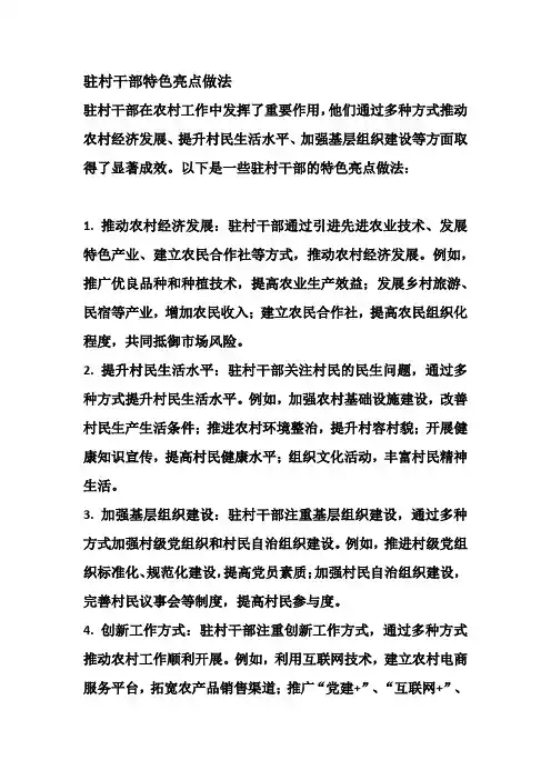 驻村干部特色亮点做法