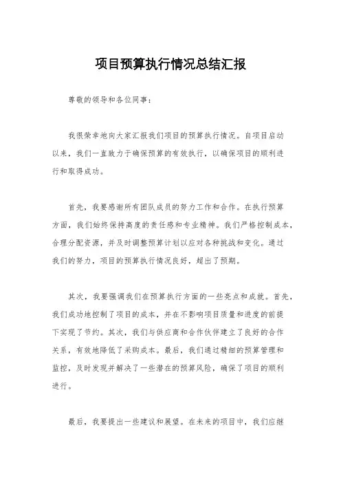 项目预算执行情况总结汇报