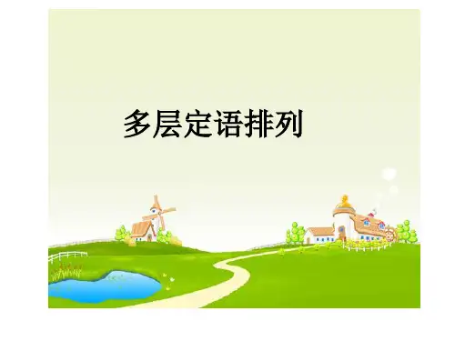 多项定语状语次序