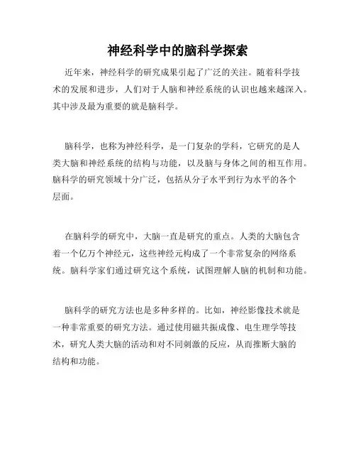 神经科学中的脑科学探索