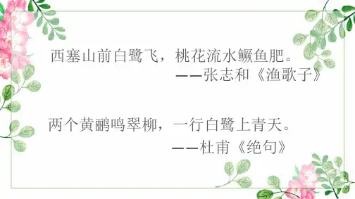 白鹭  课件(共33张PPT)