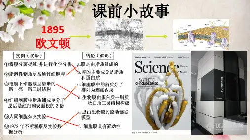 高考一轮复习课：人教版生物必修一《细胞膜——系统的边界》PPT课件