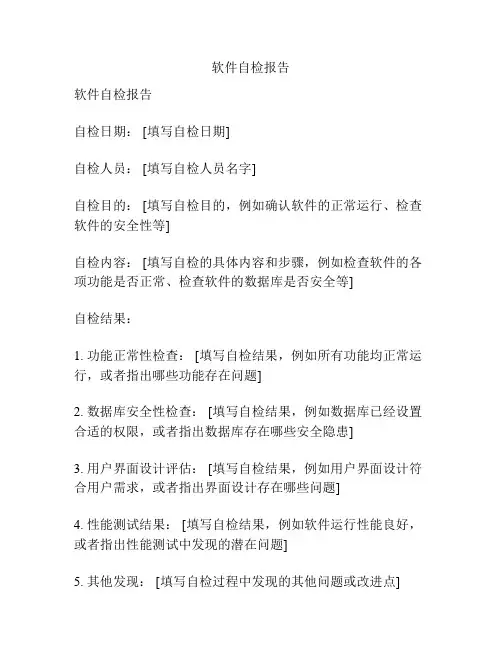 软件自检报告
