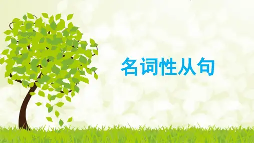 2025届高考英语二轮复习-语法专项 名词性从句 课件