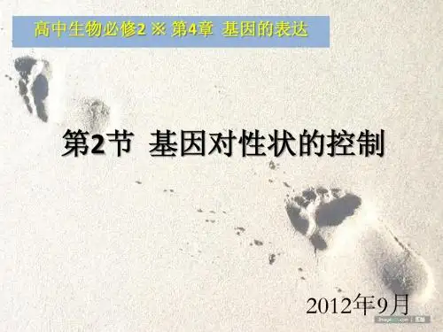 生物必修2课堂教学课件—基因对性状的控制