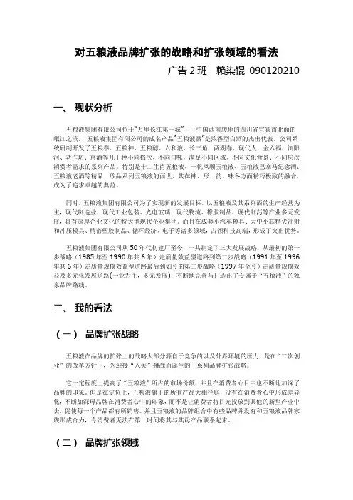 对五粮液品牌扩张的战略和扩张领域的看法