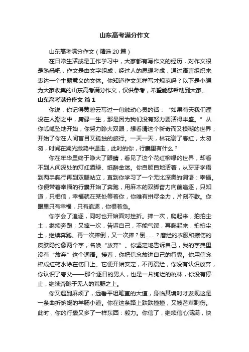 山东高考满分作文（精选20篇）