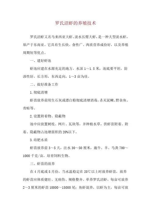 罗氏沼虾的养殖技术