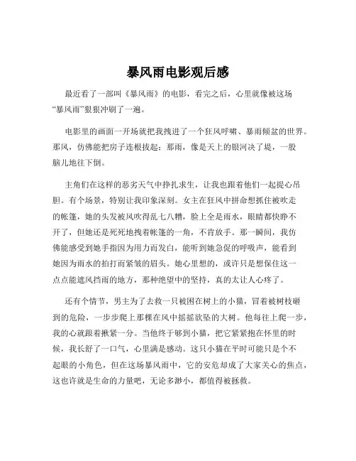 暴风雨电影观后感