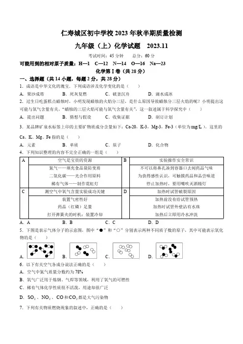 四川省眉山市仁寿县城区初中学校2023-2024学年九年级上学期期中化学试题(含答案)