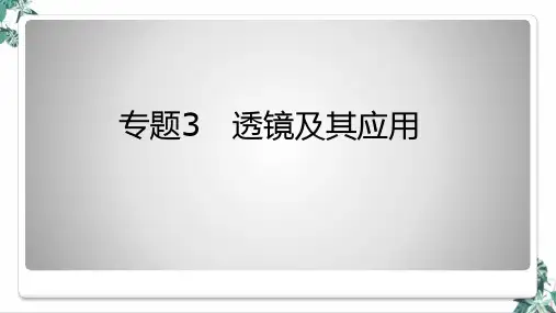 中考物理专题复习公开课PPT《透镜及其应用》(29张)