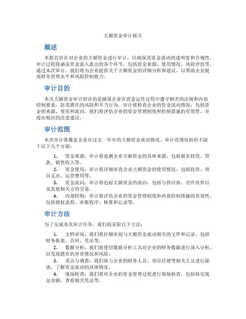 大额资金审计报告