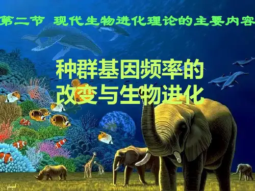 种群基因频率的改变和生物进化-ppt精品课件