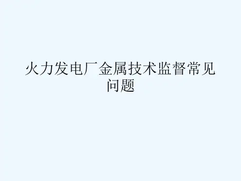 火力发电厂金属技术监督常见问题_电力水利_工程科技_专业资料
