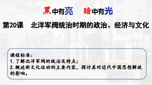 第20课 北洋军阀统治时期的政治、经济与文化