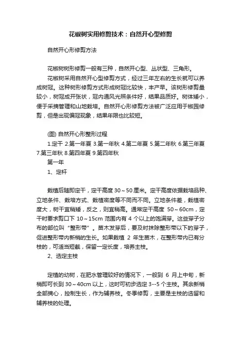 花椒树实用修剪技术：自然开心型修剪