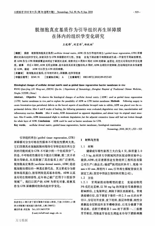 脱细胞真皮基质作为引导组织再生屏障膜 在体内的组织学