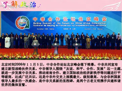 高一政治国家利益课件