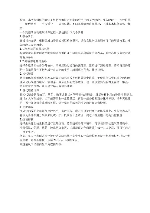 植物组织培养的各个阶段和完整流程