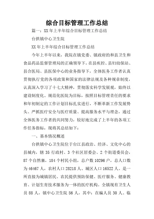 综合目标管理工作总结