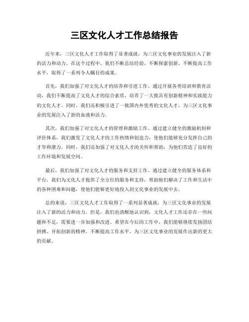 三区文化人才工作总结报告