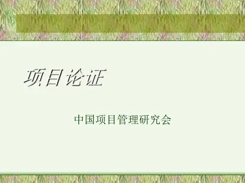 项目论证概述(共 30张PPT)