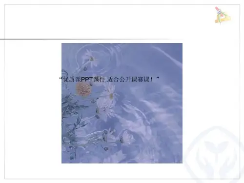 部编一年级上数学《解决问题》PPT课件 一等奖新名师优质课获奖比赛公开人教